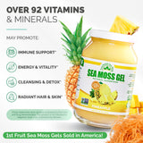 EverSmith Organics Sea Moss Gel 454g texture close-up