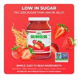 EverSmith Organics Sea Moss Gel 454g with fresh fruits