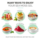 EverSmith Organics Sea Moss Gel 454g with fresh ingredients