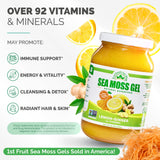 EverSmith Organics Sea Moss Gel in a bowl with a spoon