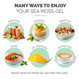 EverSmith Organics Sea Moss Gel with fresh fruits