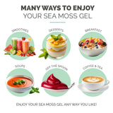 EverSmith Organics Wildcrafted Sea Moss Gel on a kitchen counter