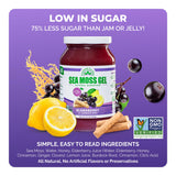 EverSmith Organics Wildcrafted Sea Moss Gel with a spoon
