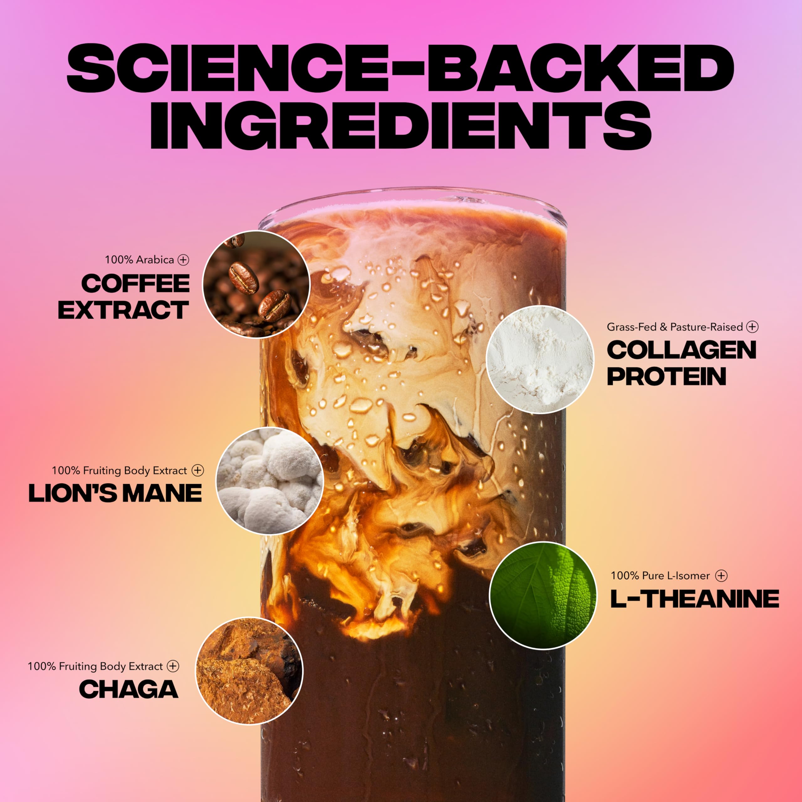 Everyday Dose Mushroom Coffee Blend ingredients list