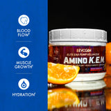 Evogen Amino Acids BCAAs 501g back view
