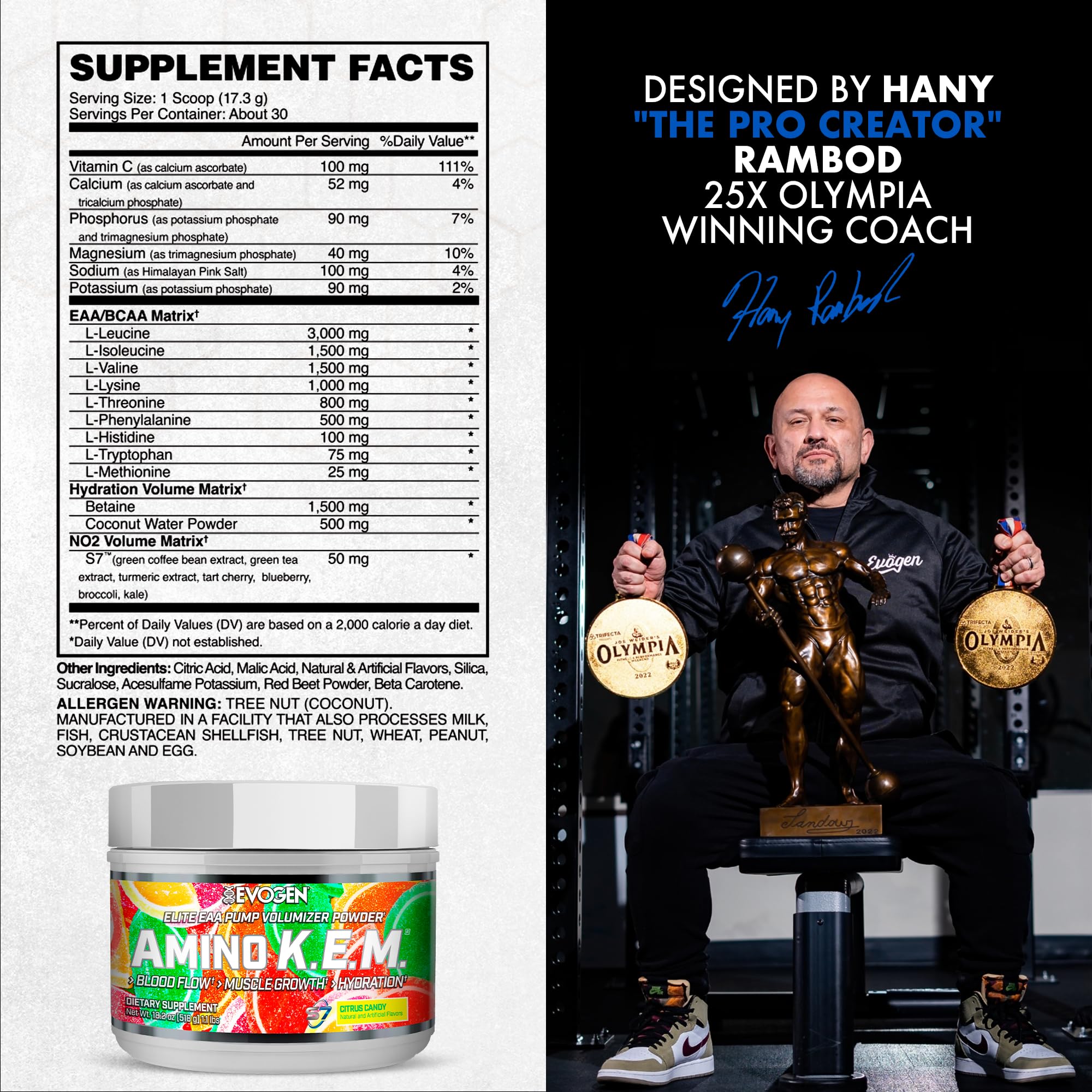 Evogen Amino Acids BCAAs 621g back view with ingredient list