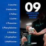 Evogen Amino Acids BCAAs 621g displayed with shaker bottle