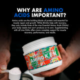 Evogen Amino Acids BCAAs 621g showing serving suggestion