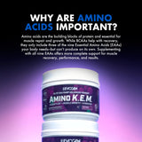 Evogen Amino Acids BCAAs 630g close-up of powder