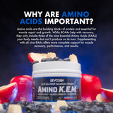 Evogen Amino K.E.M. EAA & BCAA Powder 492g with shaker bottle