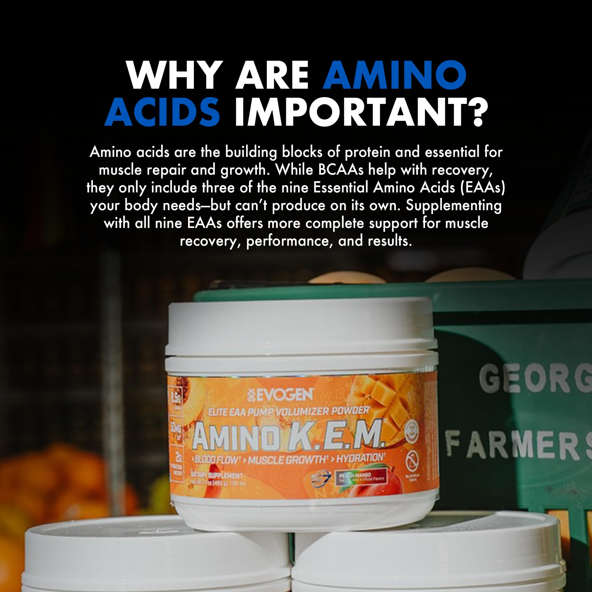 Evogen Amino K.E.M. EAA & BCAA Powder close-up