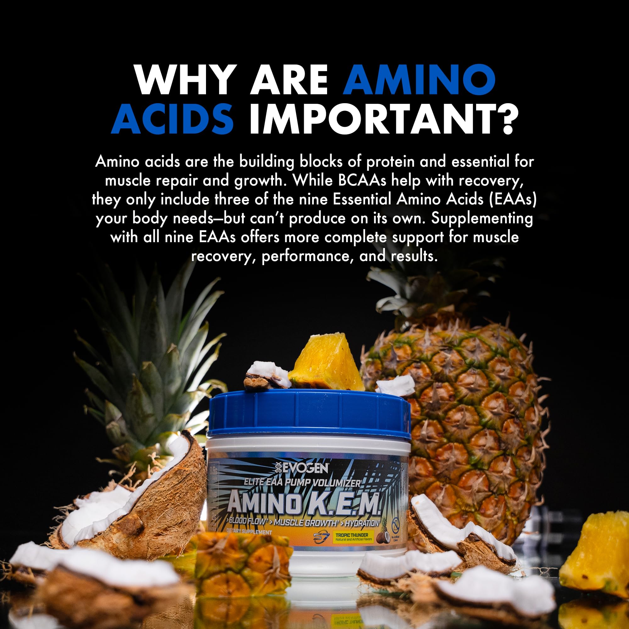 Evogen Amino K.E.M. EAA & BCAA Powder ingredients list