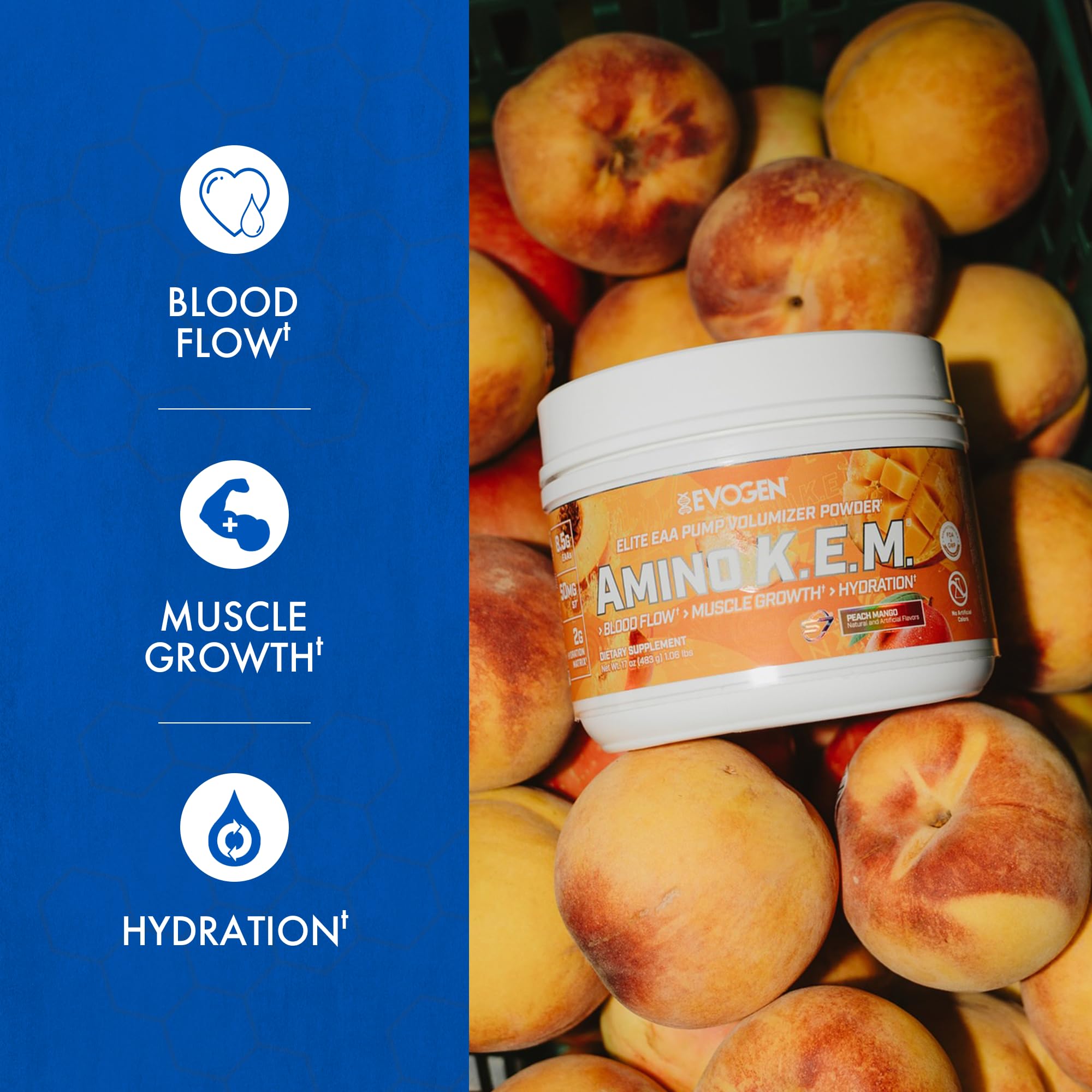 Evogen Amino K.E.M. EAA & BCAA Powder packaging