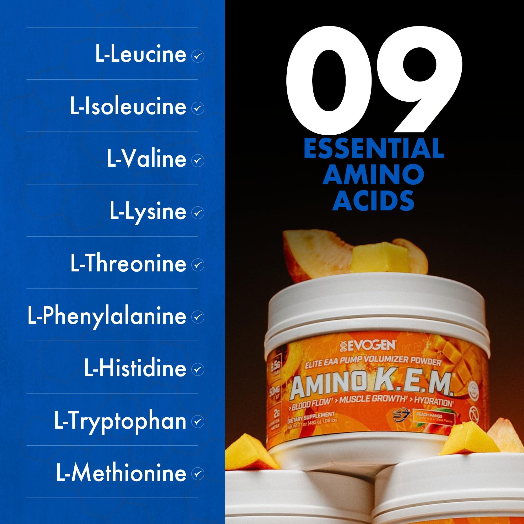 Evogen Amino K.E.M. EAA & BCAA Powder with shaker bottle