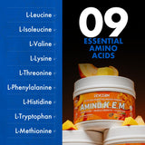 Evogen Amino K.E.M. EAA & BCAA Powder with shaker bottle