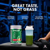 Evogen Evogreens Organic Spirulina Superfood Powder 340g side view