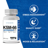 Evogen KSM-66 Ashwagandha supplement side view