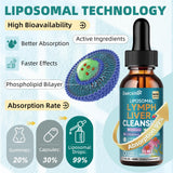 Ewecxine Liposomal Lymph & Liver Cleanse Drops lifestyle scene