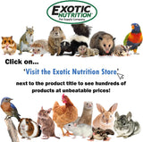 Exotic Nutrition Complete Calcium Supplement for Opossums powder close-up