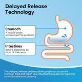 EYSOOGE Probiotics 3 in 1 capsule bottle with a measuring spoon