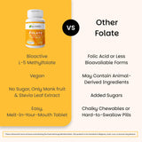 EZ Melts Daily Folate Supplement back view