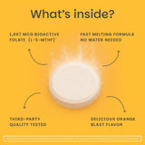 EZ Melts Daily Folate Supplement ingredients list