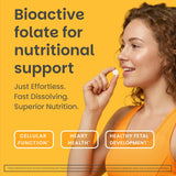 EZ Melts Daily Folate Supplement packaging side view