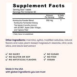 EZ Melts Kombucha Tablets 254mg side view showing tablet details