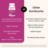 EZ Melts Kombucha Tablets 254mg tablet on a spoon
