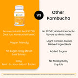 EZ Melts Kombucha Tablets close-up of the tablet
