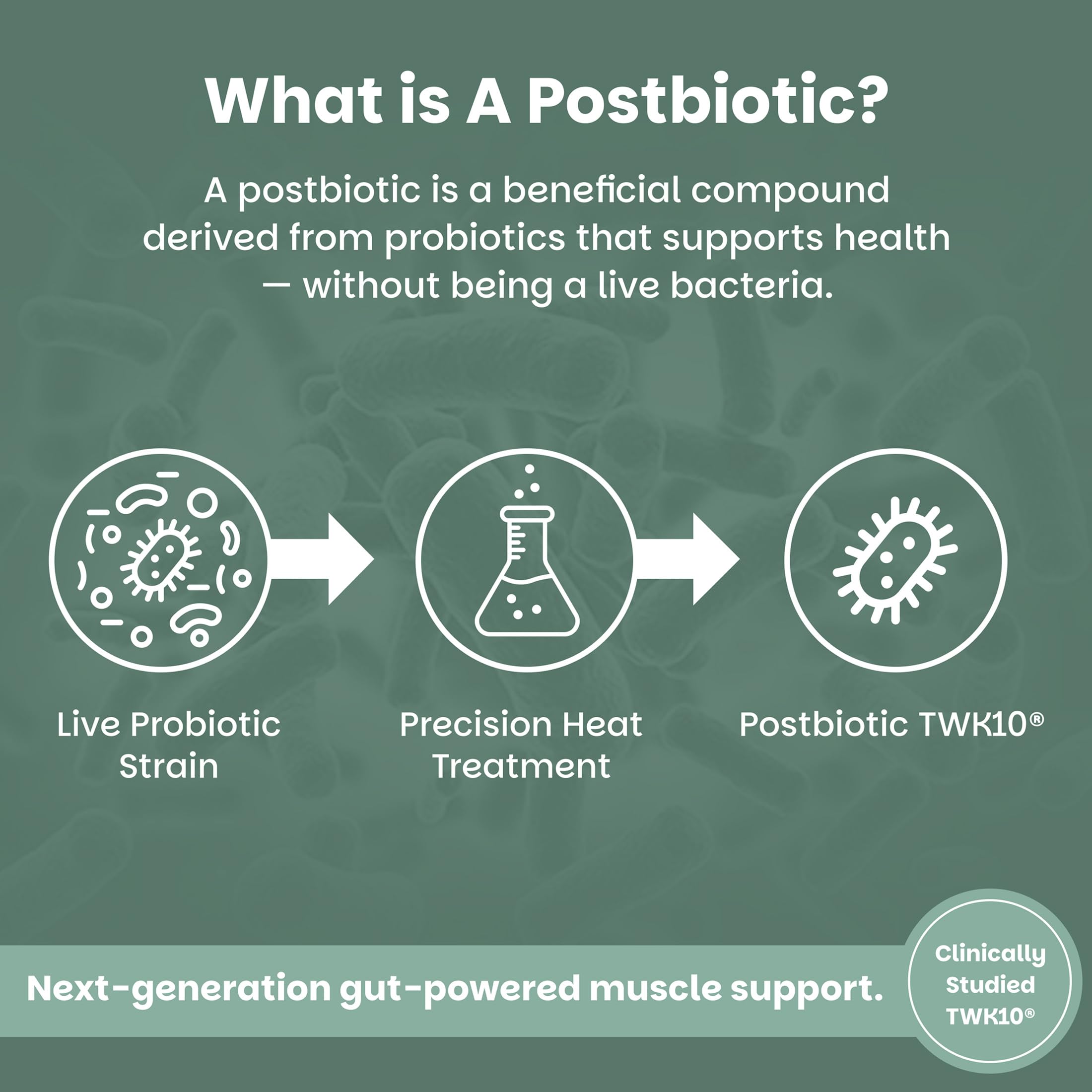 EZ Melts VitalMuscle Postbiotic Supplement tablet on a spoon