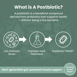 EZ Melts VitalMuscle Postbiotic Supplement tablet on a spoon