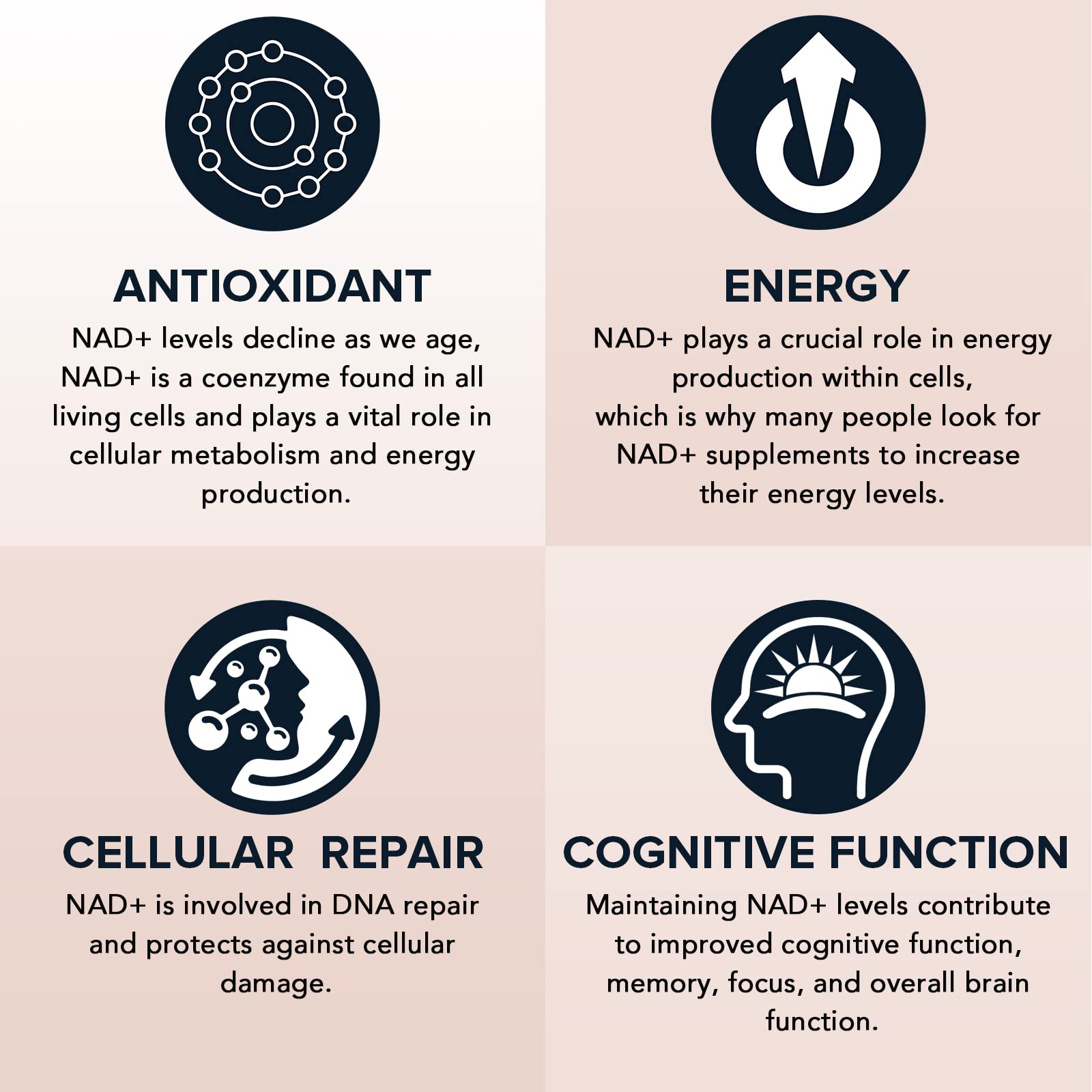 Fabamax Liposomal NAD+ Supplement 1600mg softgel bottle with ingredients list