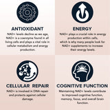 Fabamax Liposomal NAD+ Supplement 1600mg softgel bottle with ingredients list