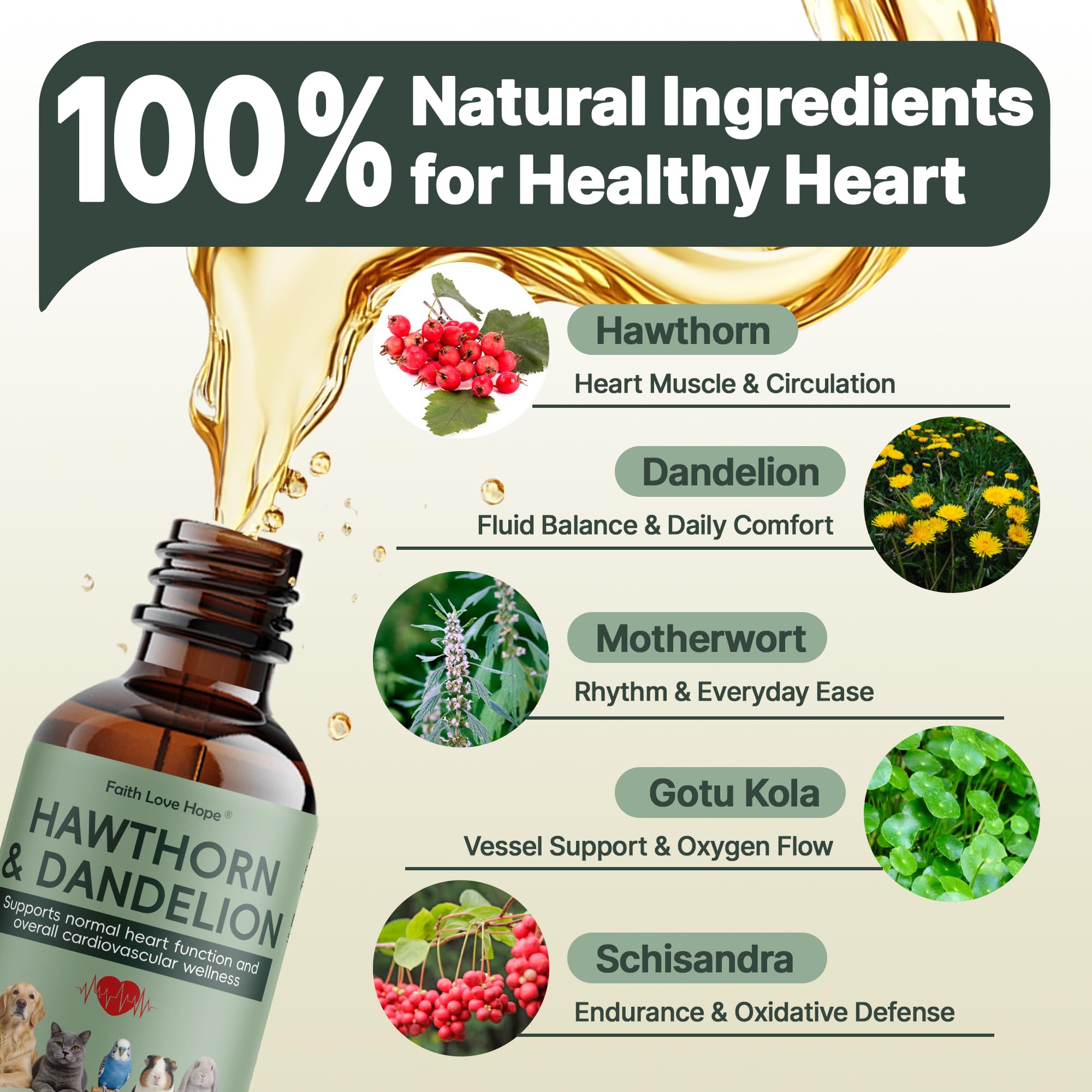 Faith Love Hope Hawthorn Herbal Supplement for Dogs product details