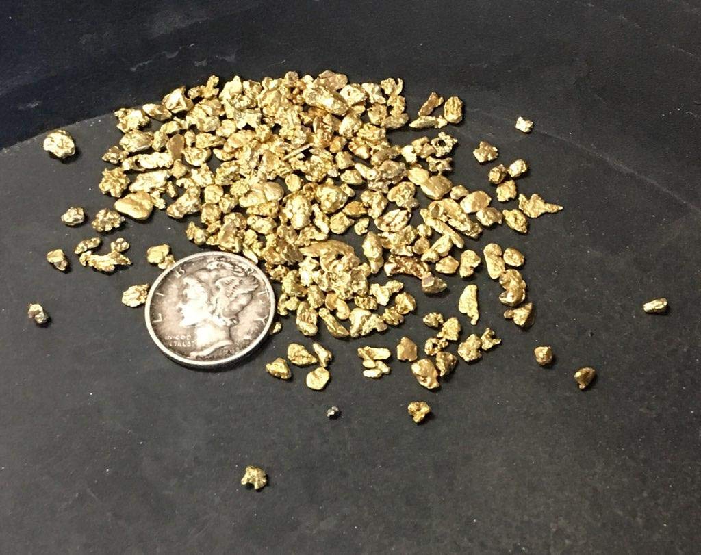 Family business team with Colorado Gold Paydirt
