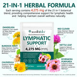 FANSHI Echinacea supplement ingredients list
