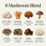 Fantastic Fungi 8-in-1 Mushroom Extract Complex in use with coffee