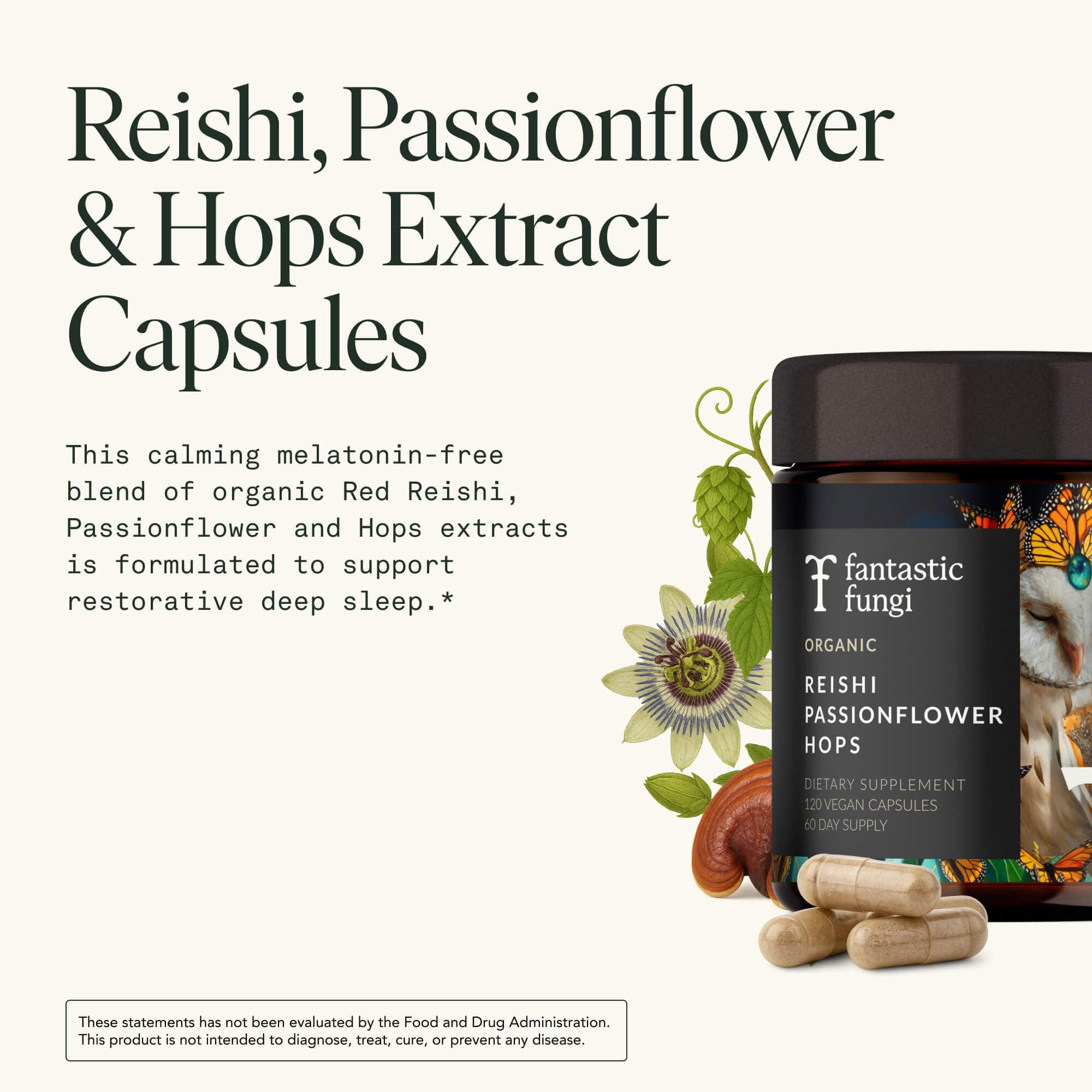 Fantastic Fungi Organic Reishi Mushroom Capsules on a wooden table