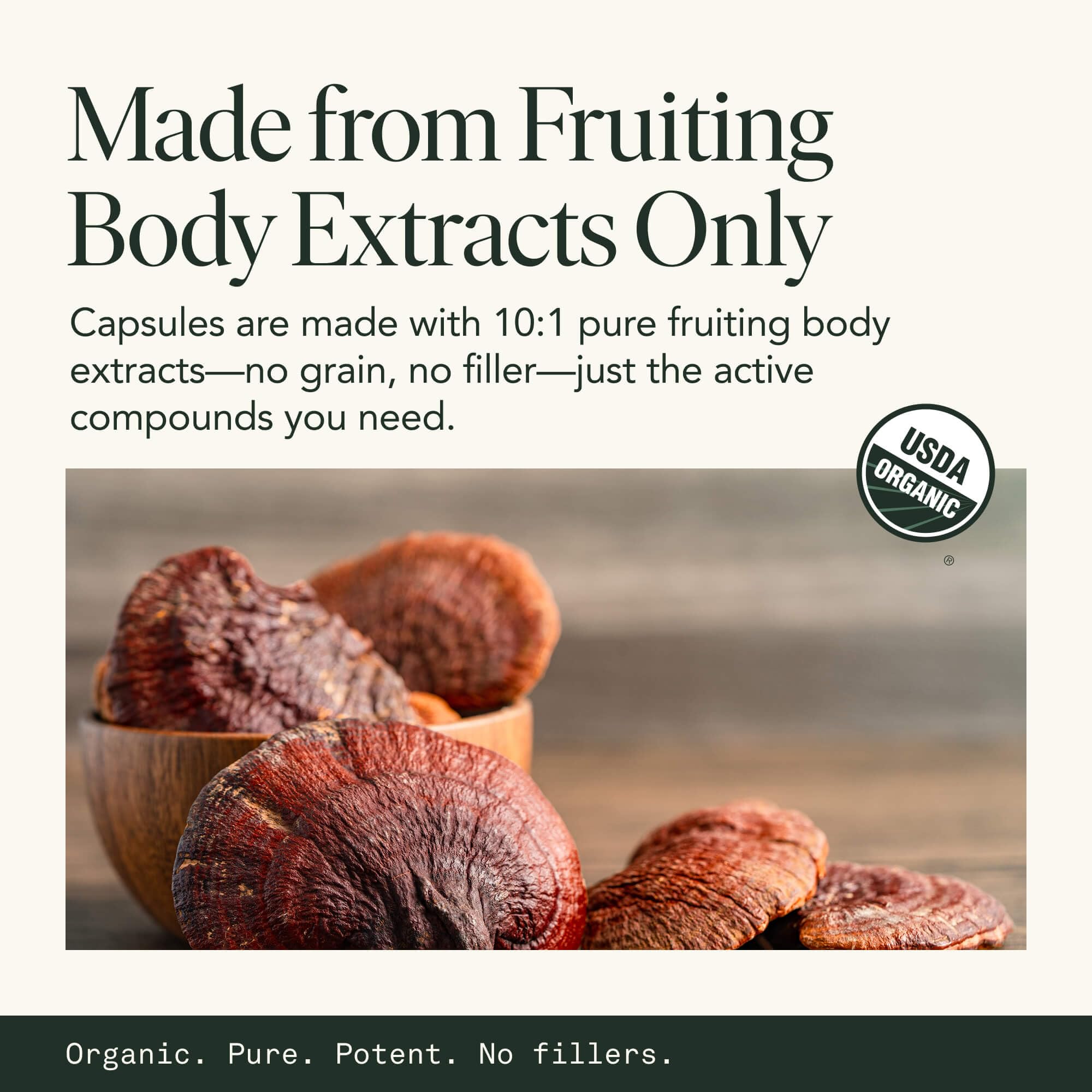 Fantastic Fungi Organic Reishi Mushroom Capsules with natural ingredients