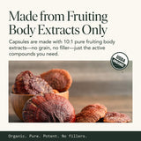 Fantastic Fungi Organic Reishi Mushroom Capsules with natural ingredients