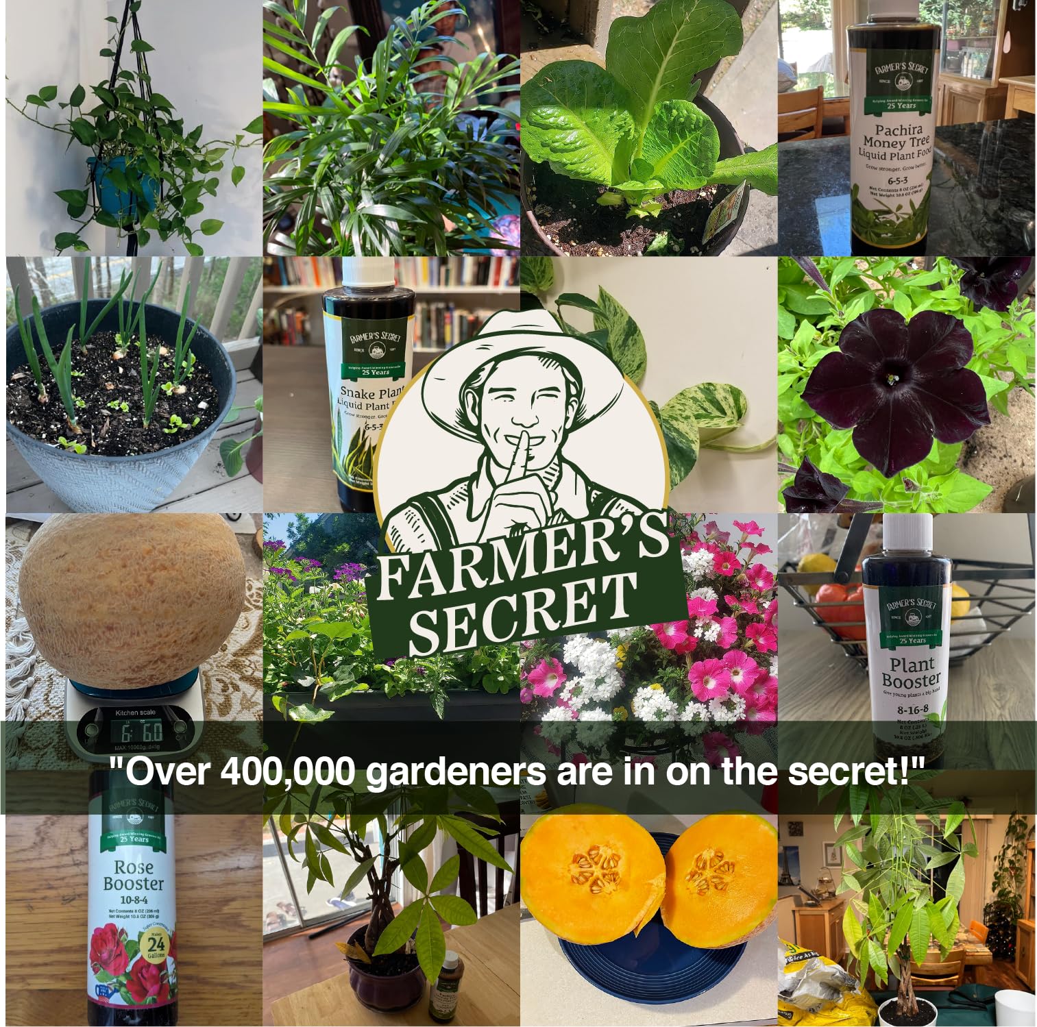Farmer's Secret Liquid Iron Supplement 1089g in garden setting