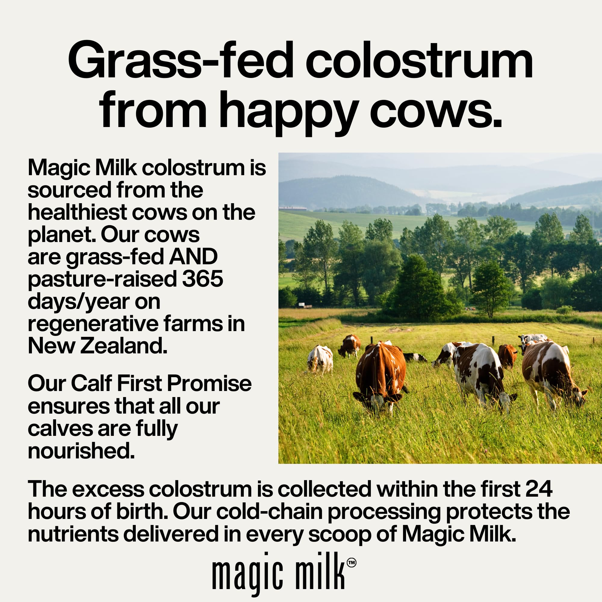 Fasted Athlete Magic Milk Bovine Colostrum with organic cacao