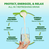 Feel Goods Peach Lemonade daily wellness Support Drink Mix nutritional information