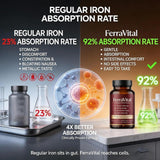 FerraVital Iron Supplement displayed with lifestyle items