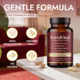 FerraVital Iron Supplement ingredients close-up