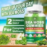 FIDERNIC Sea Moss Gummies side view with ingredients