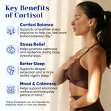 Fidus Cortisol Supplement capsules in a hand for size reference