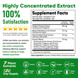 Fidus Mullein Flower & Leaf Extract 290g in lifestyle setting