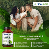 FineLand Amla Extract 20:1 back view of packaging